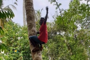 Sansibar: Mausteviljelmäkierros ja ruoanlaittokurssi lounaalla