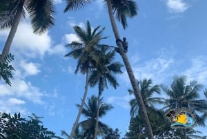 Sansibar: Mausteviljelmäkierros ja ruoanlaittokurssi lounaalla