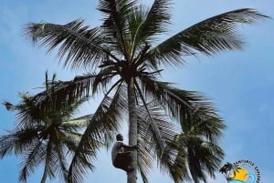 Sansibar: Mausteviljelmäkierros ja ruoanlaittokurssi lounaalla