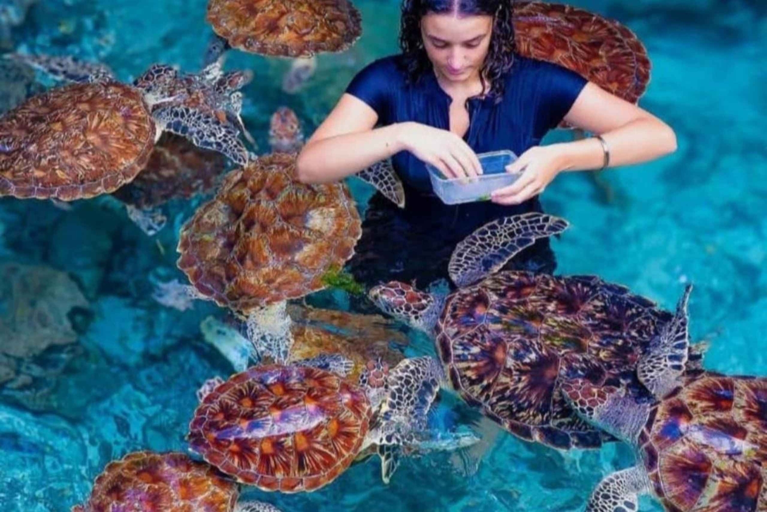 ZANZIBAR: wycieczka po farmie przypraw i jaskini Salam