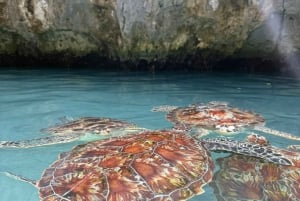 ZANZIBAR: Kryddergårdstur og Salam-grotte tur