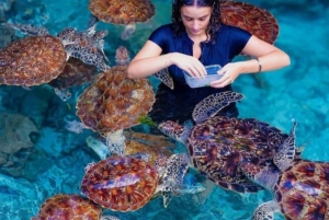 ZANZIBAR: wycieczka po farmie przypraw i jaskini Salam