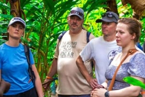 Zanzibar: Tur til krydderfarm og guidet vandring i Stone Town