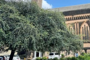 Zanzibar: Tur til krydderfarm og guidet vandring i Stone Town