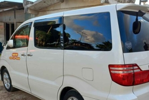 Zanzibar: Spice Farm Tour and Stone Town Guided Walking Tour