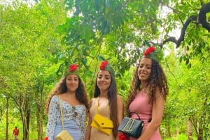 スパイスツアー、地元の学校訪問、プリズン島体験をご案内いたします。