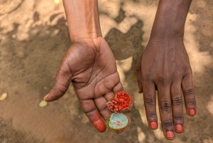 ザンジバル：スパイス農園ツアー、ココナッツ・クライミング、地元のランチをお楽しみください