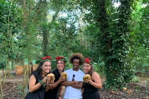 ザンジバル：スパイス農園ツアー、ココナッツ・クライミング、地元のランチをお楽しみください