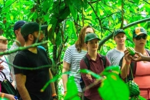 Zanzibar : visite d'une ferme d'épices, cours de cuisine et visite de Stone Town.