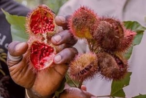 ZANZIBAR: Kruidenboerderijtour, Jozani Forest & Rock restaurant
