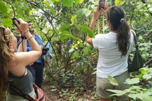 ZANZIBAR: tour della fattoria delle spezie, foresta di Jozani e Rock Restaurant