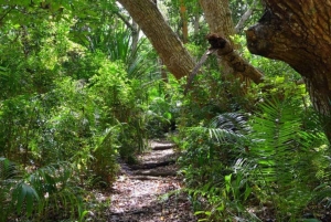 ZANZIBAR: tour della fattoria delle spezie, foresta di Jozani e Rock Restaurant
