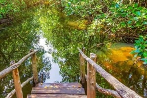 ZANZIBAR: Tour durch eine Gewürzfarm, Jozani-Wald und Salaam-Höhle