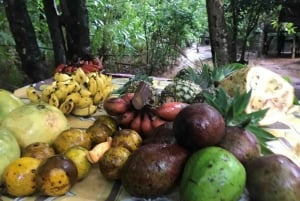 Zanzíbar: bosque de Jozani, centro de mariposas y tour por la ciudad de piedra