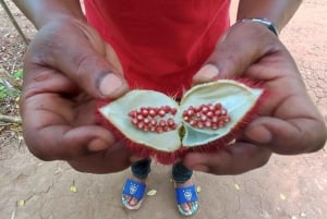 Zanzíbar: bosque de Jozani, centro de mariposas y tour por la ciudad de piedra