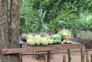 Zanzíbar: bosque de Jozani, centro de mariposas y tour por la ciudad de piedra