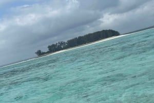 Zanzíbar: bosque de Jozani, centro de mariposas y tour por la ciudad de piedra