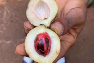 Занзибар: экскурсия по ферме специй, Стоун-Таун и заповедник морских черепах