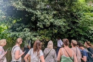 Zanzibar: Spice Farm Tour & Stone Town with Lunch