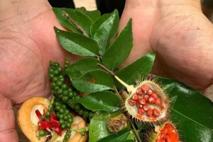 Zanzibar: Spice Farm Tour & Stone Town with Lunch