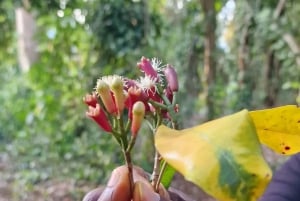 Zanzibar: Spice Farm Tour & Stone Town with Lunch