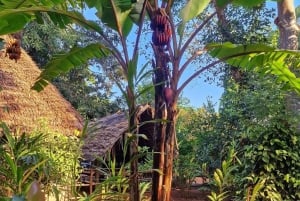 Zanzibar: Spice Farm Tour & Stone Town with Lunch