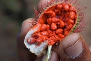 Zanzibar: Spice Farm Tour & Stone Town with Lunch