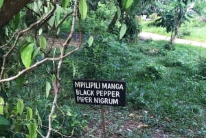 Zanzibar: Spice Farm Tour & Stone Town with Lunch