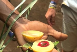 Zanzibar: Spice Farm Tour & Stone Town with Lunch