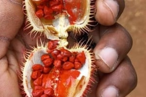 Zanzibar: Spice Farm Tour & Stone Town with Lunch