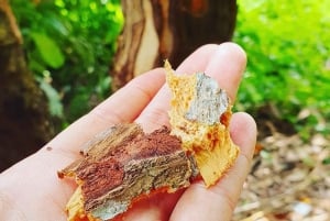 Zanzibar: Spice Farm Tour & Stone Town with Lunch