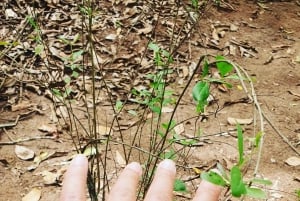 Zanzibar: Spice Farm Tour & Stone Town with Lunch