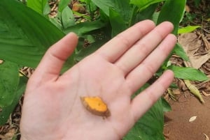 Zanzibar: Spice Farm Tour & Stone Town with Lunch