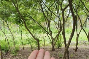 Zanzibar: Spice Farm Tour & Stone Town with Lunch