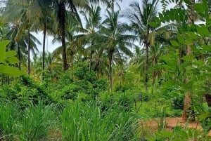 Zanzibar: Spice Farm Tour & Stone Town with Lunch