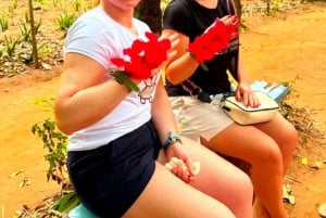 ザンジバル：スパイス農場ツアー（無料の果物試食とスパイス付き）