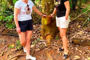 ザンジバル：スパイス農場ツアー（無料の果物試食とスパイス付き）