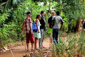 Sansibar: Maustetilakierros ja ruoanlaiton opetus