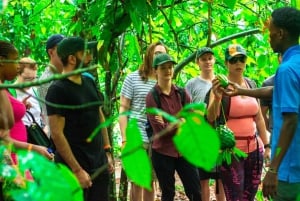 Zanzibar: Spice Farm Tour with Lunch & Tropical Fruits