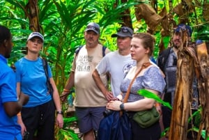Zanzibar: Spice Farm Tour with Lunch & Tropical Fruits
