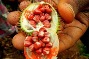 Zanzibar: Spice Farm Tour & Stone Town Adventure