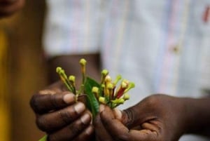 Zanzibar: Spice Farm Tour & Stone Town Adventure