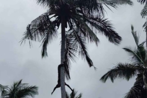 Zanzibar: Kryddgårdsrundtur med traditionell matlagningskurs