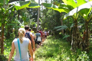Zanzibar: Spice farm tour with Zanzibar fruits tasting