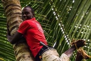 Zanzibar: Spice farm tour with Zanzibar fruits tasting