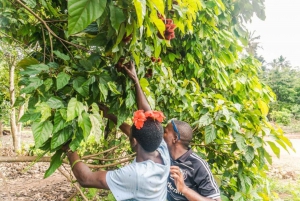 Zanzibar: Spice farm tour with Zanzibar fruits tasting