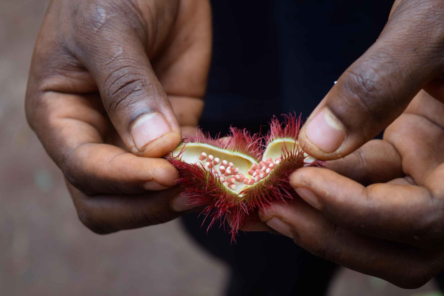 Zanzibar: Kryddodlingstur
