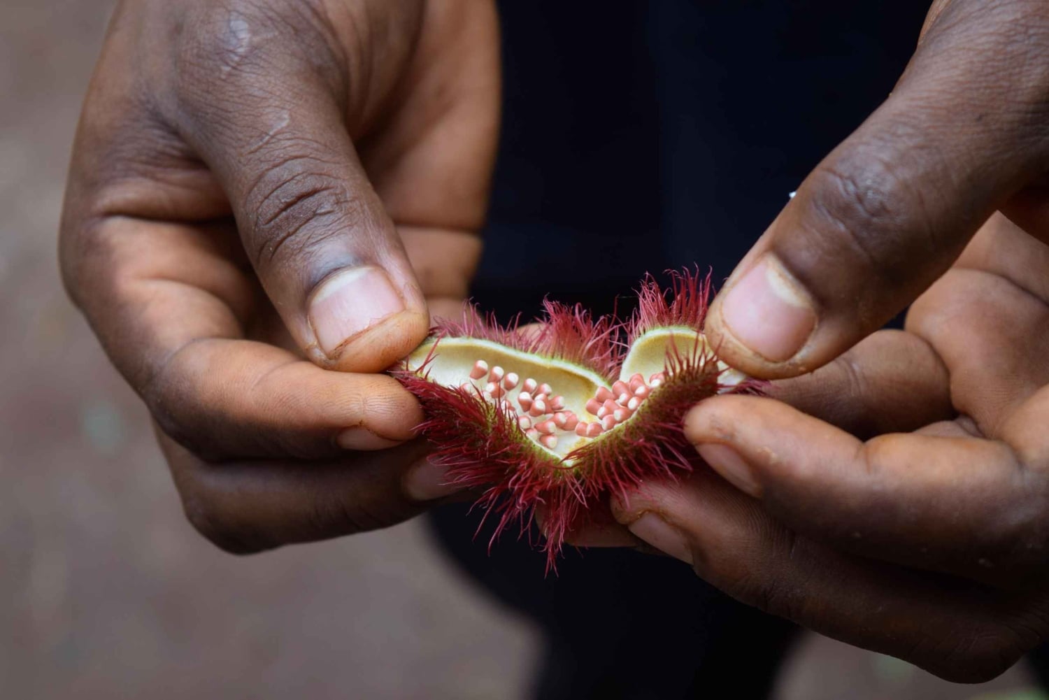 Zanzibar: Spice Farm Tour