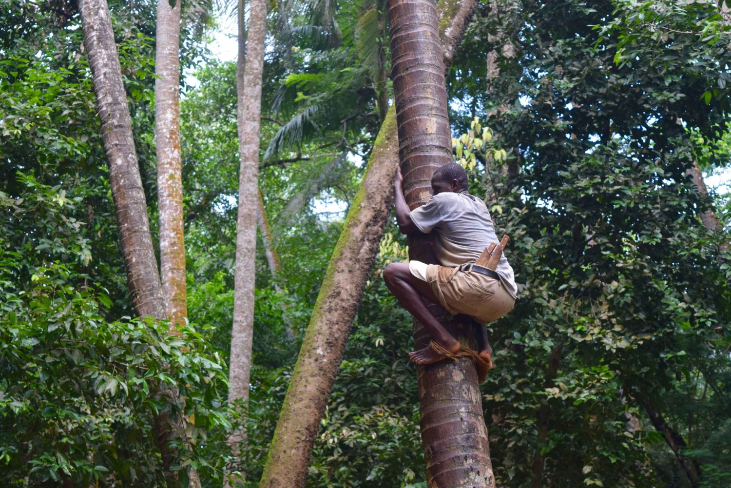 Zanzibar: Spice Farm Tour