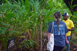 Zanzibar: Spice Farm Tour